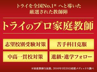 プロ家庭教師のトライとは