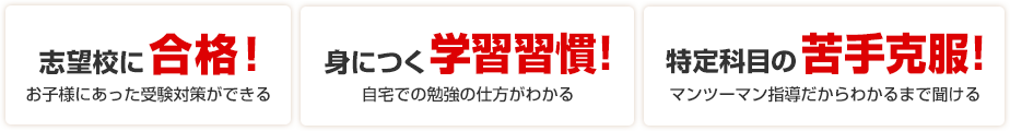 志望校に合格！お子様にあった受験対策ができる 身につく学習習慣！自宅での勉強の仕方がわかる 特定科目の苦手克服！マンツーマン指導だからわかるまで聞ける